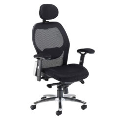 Virginia Mesh Back Ergonomic Office Chair